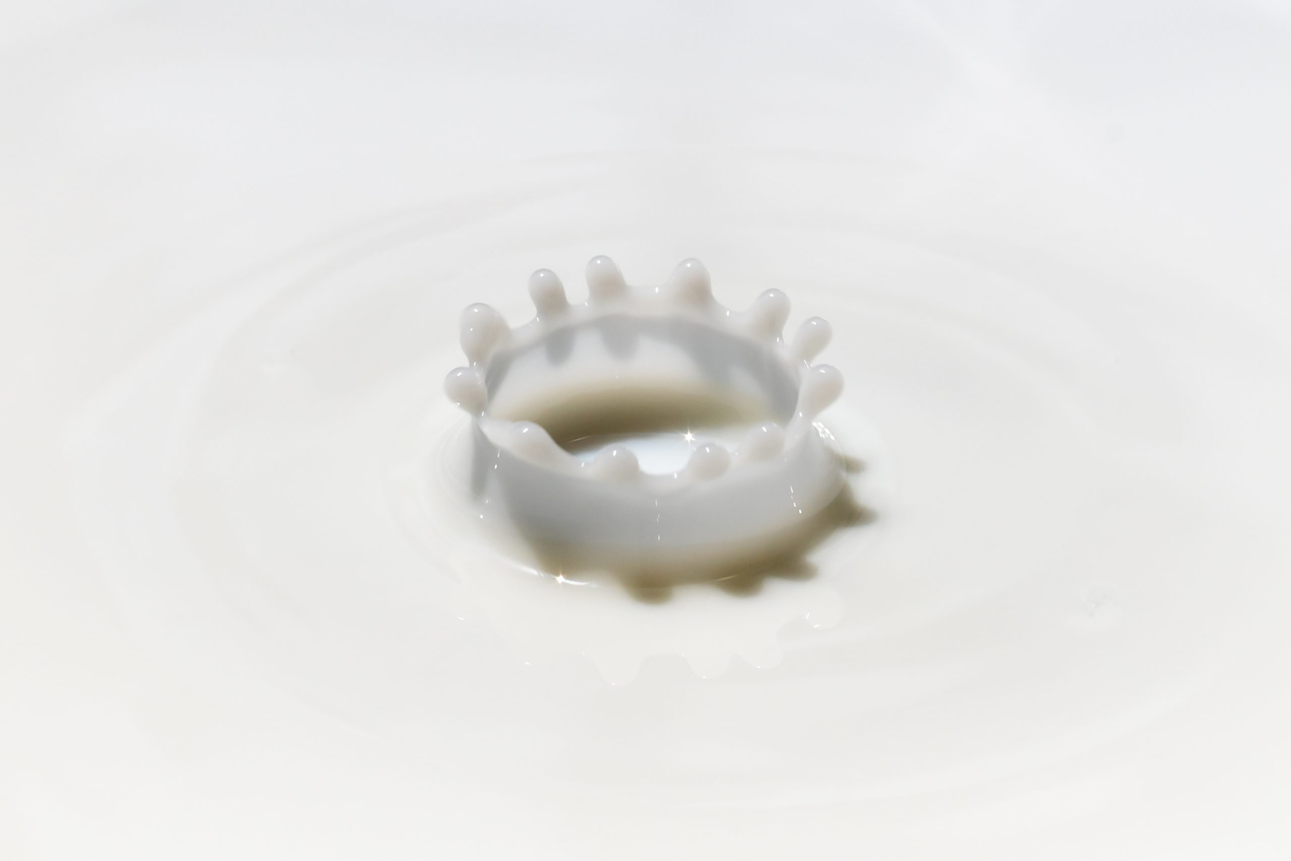 Milk crown